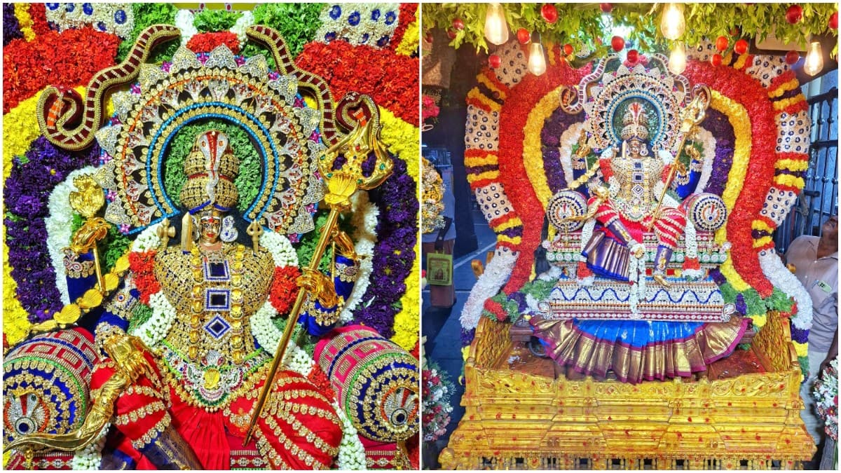 Aadi amavasai 2025: மேல்மலையனூர் அங்காளம்மன் கோவில் அமாவாசை திருவிழா: லட்சக்கணக்கான பக்தர்கள் சாமி தரிசனம்