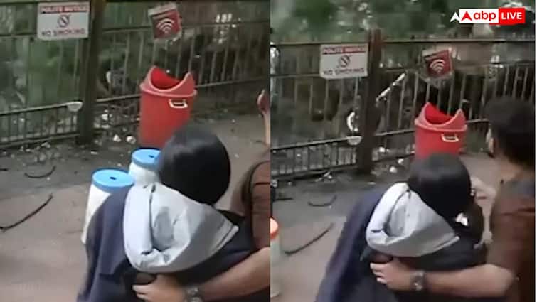 Watch: बारिश आई-कहर लाई, बेंगलुरु में देखते ही देखते लोगों के ऊपर गिर गया पेड़, वीडियो वायरल