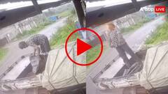 ट्रक पर तिरपाल लगा रहा था शख्स, 11000 केवी की लाइन ने दिया ऐसा झटका कि हो गया राख; खौफनाक वीडियो वायरल