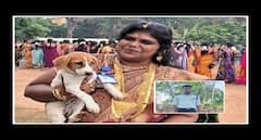 அஜித்குமார் கொலை வழக்கு 11-வது நாளாக தொடரும் சிபிஐ விசாரணை; நிகிதா நேரில் ஆஜர் !