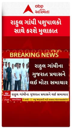 Rahul Gandhi Gujarat Visit: રાહુલ ગાંધીના ગુજરાત પ્રવાસ અંગે મોટા સમાચાર, પશુપાલકો સાથે કરશે મુલાકાત