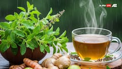 Monsoon Wellness — Ayurvedic Tips To Boost Immunity And Stay Healthy During This Season