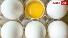 બજારમાં મળતા સફેદ ઈંડા શાકાહારી છે કે માંસાહારી? શ્રાવણ શરુ થાય તે પહેલા જાણીલો