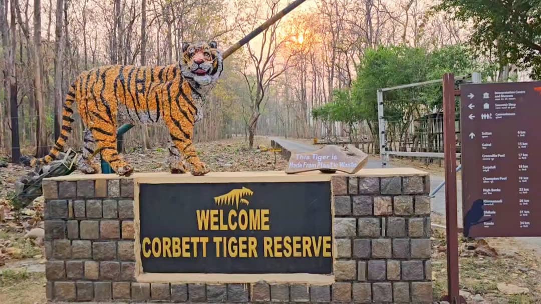 Uttarakhand CM Pushkar Singh Dhami take a action on Corbett Tiger Park scam ann कार्बेट टाइगर पार्क अवैध निर्माण केस में धामी सरकार का बड़ा फैसला, लंबित अभियोजन की दी अनुमति