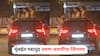 Mumbai Crime: मुंबईत मद्यधुंद तरुण-तरुणींचा धिंगाणा, भरधाव कारचं सनरुफ उघडून बाहेर आल्या अन्...