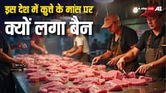 इस देश ने कुत्ते का मांस खाने पर लगाया बैन, मिलती है सजा; जानिए क्यों करना पड़ा ऐसा