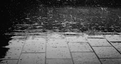 West Bengal Weather Update: পূর্বাভাস মিলিয়ে নিম্নচাপের জেরে শুরু বৃষ্টি, আরও বাড়বে দুর্যোগ, জলযন্ত্রণায় ফের দুর্ভোগ হবে নিত্যযাত্রীদের