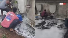 Video: जान की फिक्र नहीं! डीजल से भरा टैंकर पलटा, ड्रम-बाल्टी लेकर भरने पहुंचे लोग