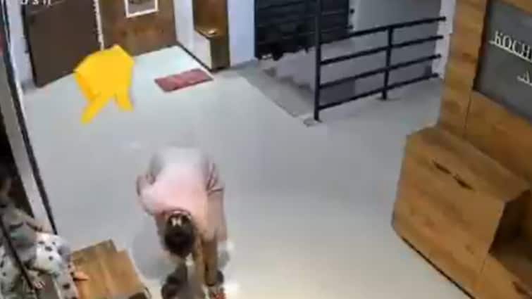 On Cam: Mumbai Girl Falls To Death From 12th Floor After Mother Seats Her On Shoe Rack Near Win
