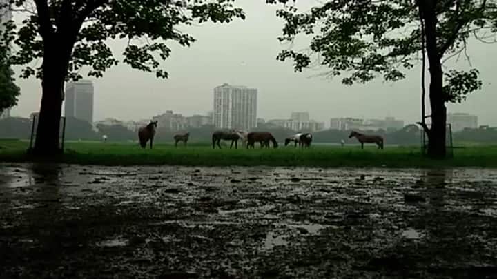 উত্তর বঙ্গোপসাগরে তৈরি হওয়া ঘূর্ণাবর্ত নিম্নচাপে পরিণত হয়েছে। তার জেরে আজ থেকে কলকাতা-সহ দক্ষিণবঙ্গের জেলাগুলিতে শুরু হয়েছে প্রচণ্ড বৃষ্টি।