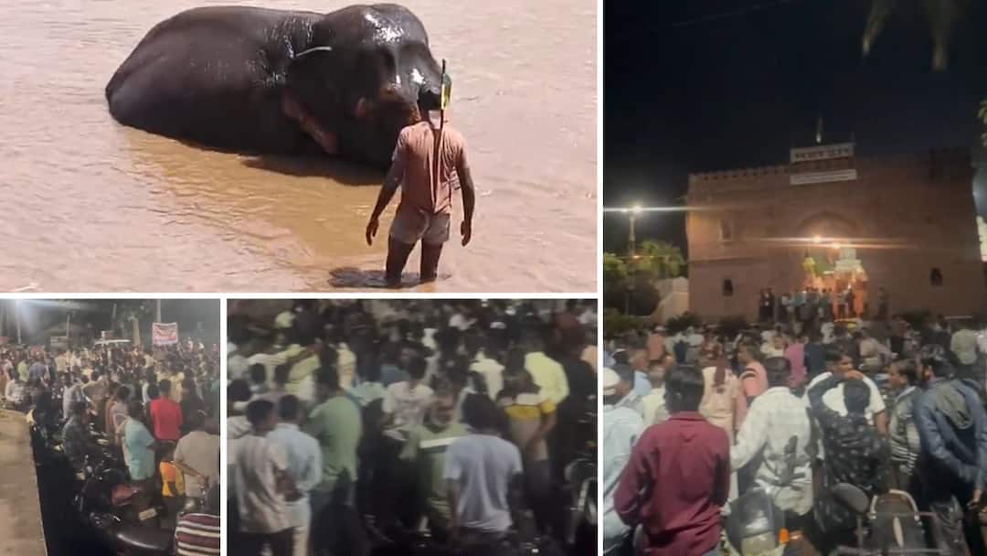 Kolhapur News: 'महादेवी' हत्तीणीसाठी नांदणीकर मध्यरात्री रस्त्यावर; हजारो नागरिक एकवटले, आज मूक मोर्चा Nandinikar takes to the streets at midnight for Mahadevi elephant Thousands of citizens gather silent march today Kolhapur News: 'महादेवी' हत्तीणीसाठी नांदणीकर मध्यरात्री रस्त्यावर; हजारो नागरिक एकवटले, आज मूक मोर्चा