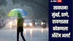 मुंबई, ठाणे, रायगडसह कोकणला ऑरेंज अलर्ट, विदर्भात पावसाचा जोर, तर मराठवाड्यातील अनेक जिल्हे मोठ्या पावसाच्या प्रतीक्षेत
