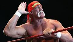 WWE ਤੋਂ ਇਲਾਵਾ ਕਿੱਥੋਂ-ਕਿੱਥੋਂ ਕਮਾਈ ਕਰਦੇ ਸੀ ਹਲਕ ਹੋਗਨ, ਜਾਣੋ ਕਿੰਨੀ ਸੀ ਨੈਟਵਰਥ?