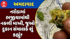 Bee Found From Bhajiya : અમદાવાદના નરોડામાં ભજીયામાંથી નકળી માખી, જુઓ દુકાન સંચાલકે શું કહ્યું?