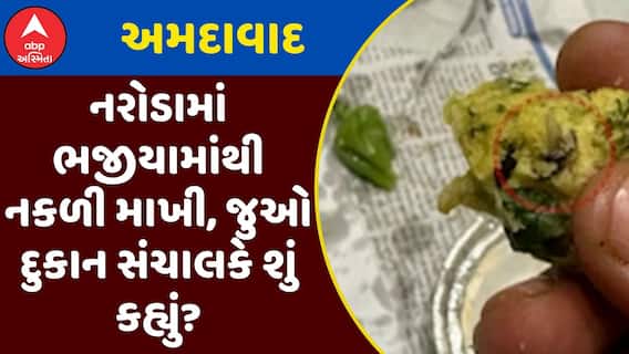 Bee Found From Bhajiya : અમદાવાદના નરોડામાં ભજીયામાંથી નકળી માખી, જુઓ દુકાન સંચાલકે શું કહ્યું?