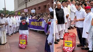 सलग पाचव्या दिवशी बिहार व्होटर व्हेरिफिकेशनवरून इंडिया आघाडीचा एल्गार; संसदेच्या प्रांगणात यादीची चिरफाड करत केराची टोपली दाखवली