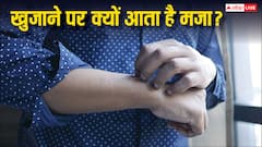 खुजाने पर मजा आता है और मिट जाती है खुजली, जानें क्यों होता है ऐसा?