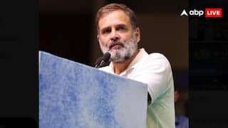 BJP Slams Congress Leader Over Rahul Gandhi Could Be 'Next Ambedakar' Remark: 'Insulting Dalits'