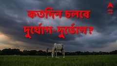নিম্নচাপের জেরে দুর্যোগ গোটা দক্ষিণবঙ্গে, আগামী ক'টা দিন কেমন কাটবে? বড় আপডেট দিল আবহাওয়া দফতর