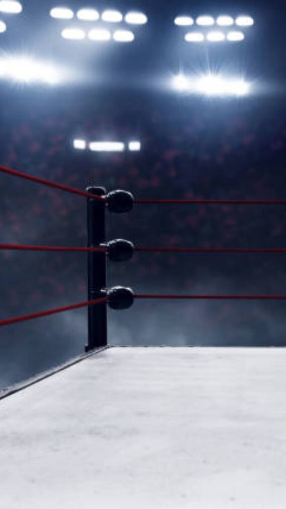 क्या था हल्क होगन का असली नाम?