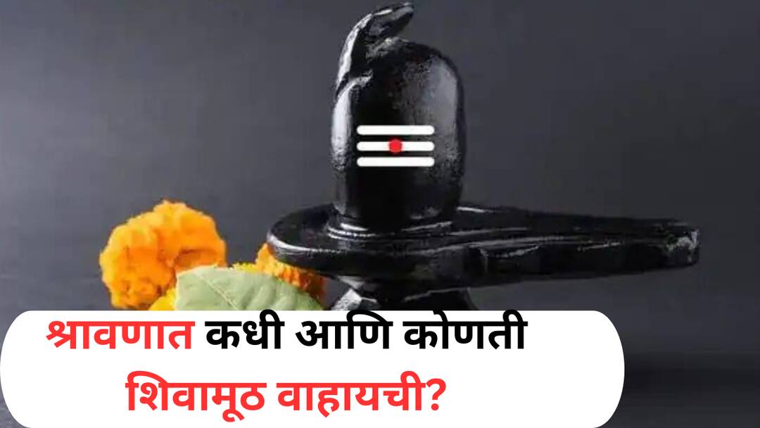 Shravan 2025 : श्रावण महिन्यात किती सोमवार असतील? शिवामूठ का वाहिली जाते? वाचा ज्योतिषशास्त्र Shravan 2025 marathi news how many mondays in shravan know importance of shivamuth astrology marathi news Shravan 2025 : श्रावण महिन्यात किती सोमवार असतील? शिवामूठ का वाहिली जाते? वाचा ज्योतिषशास्त्र