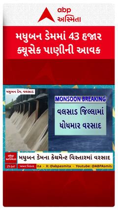 Madhuban Dam: વલસાડ જિલ્લામાં ધોધમાર વરસાદ, મધુબન ડેમમાંથી પાણી છોડાતા દમણ ગંગા નદી બે કાંઠે