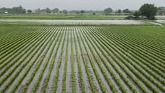 Gujarat Rain Forecast: ગુજરાતમાં આ તારીખથી વધશે વરસાદનું જોર, આ જિલ્લામાં એલર્ટ જાહેર
