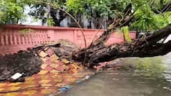 Kolkata News: āĻāĻāĻāĻžāύāĻž āĻŦā§āώā§āĻāĻŋāϤ⧠āĻāĻĒāĻĄāĻŧā§ āĻā§āϞ āĻāĻžāĻ, āĻāĻžāĻāϞ āĻŦāĻžāĻĄāĻŧāĻŋ ! āĻāϞ āĻāĻŽā§ āĻŦā§āĻšāĻžāϞ āĻ
āĻŦāϏā§āĻĨāĻž āĻāϞāĻāĻžāϤāĻžāϰ āϰāĻžāϏā§āϤāĻžāϰ