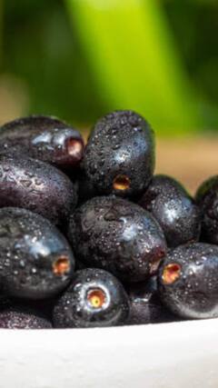 ఉదయాన్నే నేరేడు పండ్లు తింటే కలిగే లాభాలివే