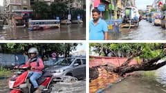 Kolkata News: āĻāĻāĻāĻžāύāĻž āĻŦā§āώā§āĻāĻŋāϤ⧠āĻāĻĒāĻĄāĻŧā§ āĻā§āϞ āĻāĻžāĻ, āĻāĻžāĻāϞ āĻŦāĻžāĻĄāĻŧāĻŋ ! āĻāϞ āĻāĻŽā§ āĻŦā§āĻšāĻžāϞ āĻ
āĻŦāϏā§āĻĨāĻž āĻāϞāĻāĻžāϤāĻžāϰ āϰāĻžāϏā§āϤāĻžāϰ