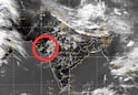 Gujarat Rain: વીજળીના કડાકા-ભડાકા સાથે ધોધમાર વરસાદની આગાહી, જાણો લેટેસ્ટ અપડેટ