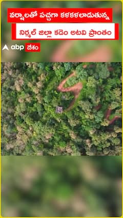 Kadem forest area of Nirmal district turns green with rains