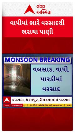 Vapi Rain News: વાપીમાં ભારે વરસાદથી ઠેર ઠેર પાણી... જુઓ આ શોર્ટ વીડિયોમાં