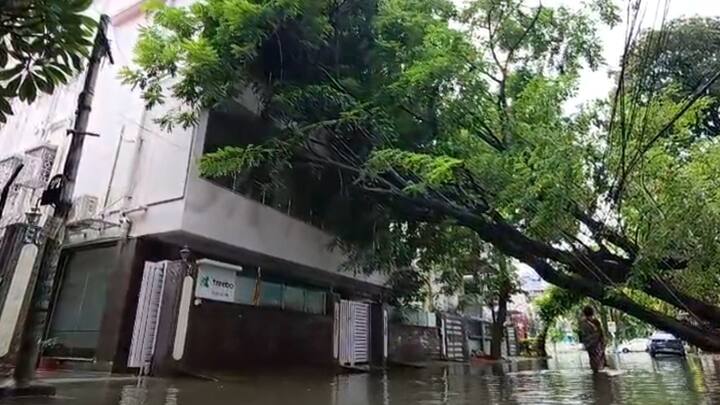 নিম্নচাপের প্রভাবে রাতভর বৃষ্টির জেরে কলকাতার বিভিন্ন রাস্তায় জল জমেছে। টানা বৃ্ষ্টিতে জলমগ্ন ধর্মতলা, পোস্তা, বড়বাজার, কৈখালি, দমদম। জল জমেছে এজেসি বোস রোড উড়ালপুলের একাংশে।
