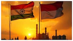 India And Indonesia Join Forces To Secure Palm Oil Supply And Boost Trade Ties