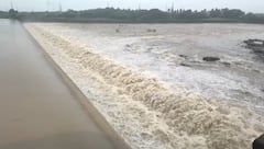 Valsad Rain: વલસાડ જિલ્લામાં ધોધમાર વરસાદથી દમણગંગા નદી બે કાંઠે