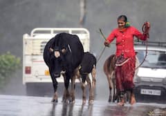 'आफत' वाले 24 घंटे, कौंधेगी बिजली, तेज हवाएं, बारिश संग ओले भी गिरेंगे, रेड अलर्ट, यूपी- बिहार, दिल्ली-राजस्थान के मौसम का ताजा अपडेट