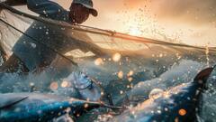 महाराष्ट्र में मछली पालन को मिलेगा नया जीवन! सरकार ने जारी किए नए नियम, अब बढ़ेगा देसी उत्पादन