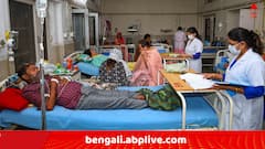 বর্ষায় রাজ্য জুড়ে বাড়ছে ডেঙ্গির প্রকোপ, 'কেন্দ্রকে কোন তথ্যই দেয়নি রাজ্য স্বাস্থ্য দফতর..' !