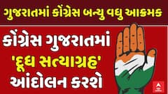 Gujarat Congress News: પ્રદેશ કૉંગ્રેસ બન્યું વધુ આક્રમક,  દૂધ સત્યાગ્રહ નામથી શરૂ કરશે આંદોલન