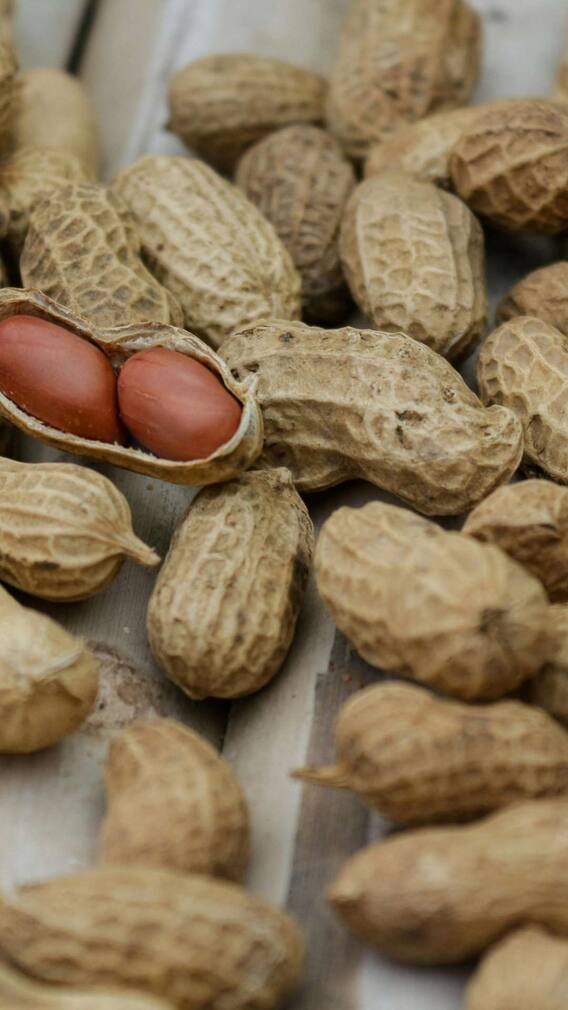 शराब के साथ क्यों खाए जाते हैं पीनट्स?