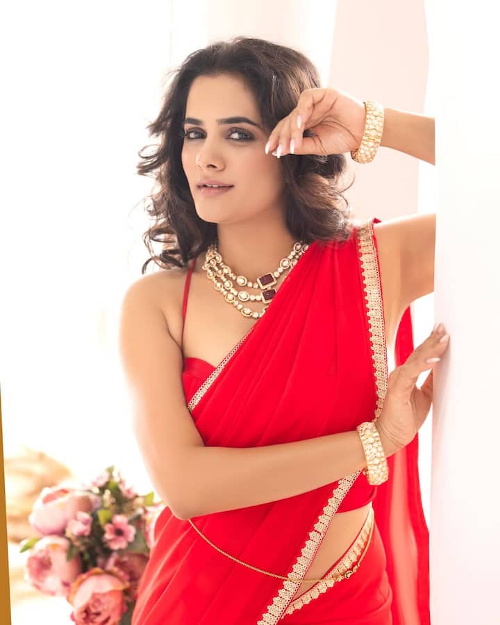 भाग्यश्री मोटे म्हणाली, बऱ्याच लोकांना हा समज आहे की, माझं लग्न झालं होतं. कारण ते सेलीब्रेशन ग्रँड करण्यात आलं होतं.