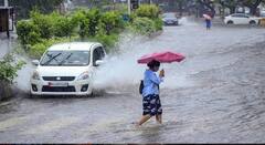 मुंबई, ठाणे, रायगडसाठी पुढील चार तास महत्त्वाचे, मुसळधार पावसाचा अंदाज; पालघरमध्ये रेड अलर्ट, शाळांना सुट्टी जाहीर