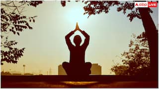 Health Tips: યોગથી 40 ટકા ઘટે છે ટાઇપ-2 ડાયાબિટીસનું જોખમ, નવા રિપોર્ટમાં મોટો ખુલાસો