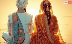 Hariyali Teej 2025: ਜਿਨ੍ਹਾਂ ਦਾ ਵਿਆਹ ਨਹੀਂ ਹੋ ਰਿਹਾ, ਉਹ ਇਦਾਂ ਰੱਖਣ ਤੀਜ ਦਾ ਵਰਤ