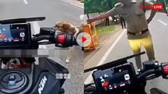 केवल भौंकने से काम नहीं चलता, कमाना पड़ता है! डोगेश ऑन ड्यूटी- वीडियो देख नहीं रुकेगी हंसी