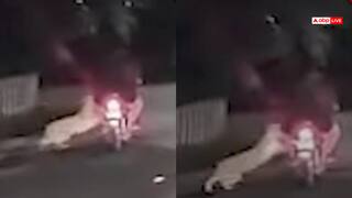 Watch: रात के अंधेरे में बाइक सवार पर झपटा तेंदुआ, फिर गिरा, देखें दिल दहला देने वाला वीडियो
