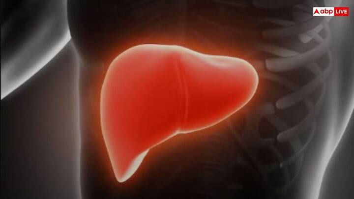 Liver Health Symptoms: নখের স্বাভাবিক রঙ সাদা। যদি আপনার নখের রঙ পরিবর্তন হয়ে হলুদ হতে শুরু করে, তাহলে বুঝে নেবেন, আপনার লিভারের কার্যকারিতা কমছে।