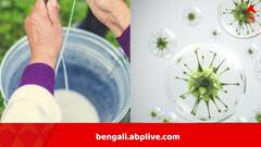 কাঁচা দুধ থেকেও ছড়াতে পারে সালমোনেলা সংক্রমণ, বিপদ বেশি শিশুদের, রিপোর্ট এল আমেরিকা থেকে