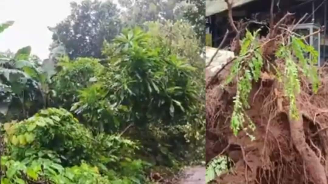 Heavy Rain Wreaks Havoc In Kerala; IMD Issues Orange, Yellow Alerts Heavy Rain Wreaks Havoc In Kerala; IMD Issues Orange Thrissur Idukki Yellow Alerts Heavy Rain Wreaks Havoc In Kerala; IMD Issues Orange, Yellow Alerts